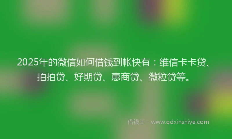 2025年的微信如何借钱到帐快有：维信卡卡贷、拍拍贷、好期贷、惠商贷、微粒贷等。