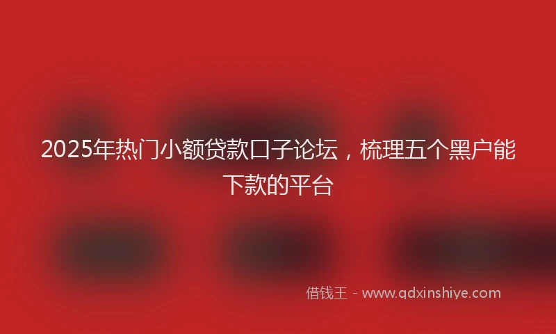 2025年热门小额贷款口子论坛，梳理五个黑户能下款的平台