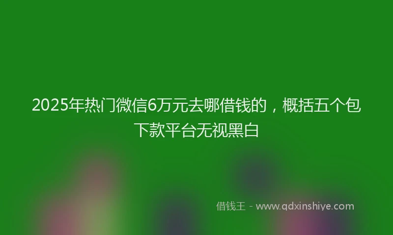 2025年热门微信6万元去哪借钱的，概括五个包下款平台无视黑白