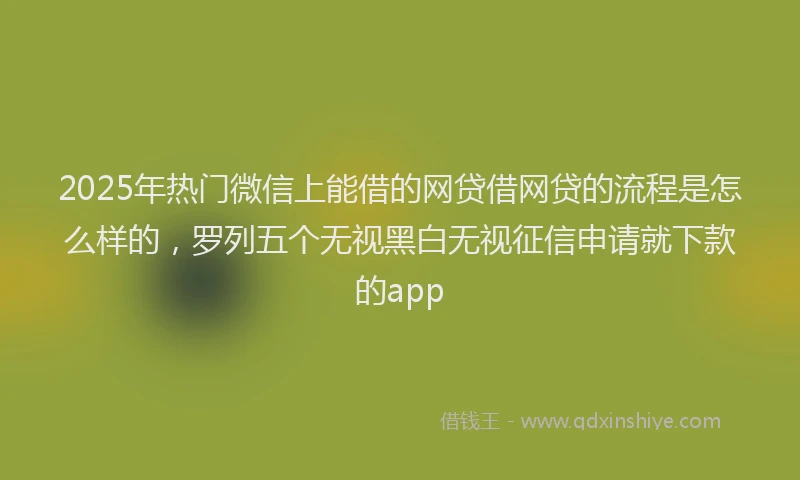 2025年热门微信上能借的网贷借网贷的流程是怎么样的，罗列五个无视黑白无视征信申请就下款的app