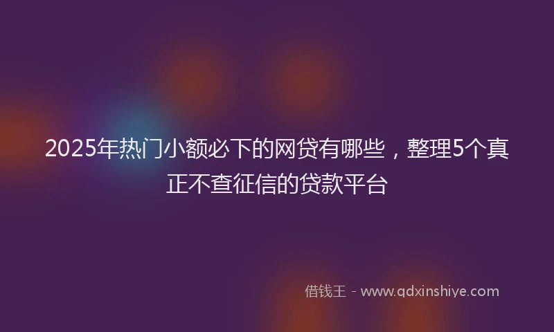 2025年热门小额必下的网贷有哪些，整理5个真正不查征信的贷款平台
