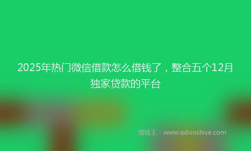 2025年热门微信借款怎么借钱了，整合五个12月独家贷款的平台
