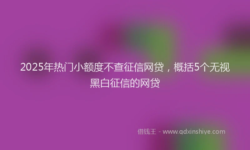 2025年热门小额度不查征信网贷，概括5个无视黑白征信的网贷