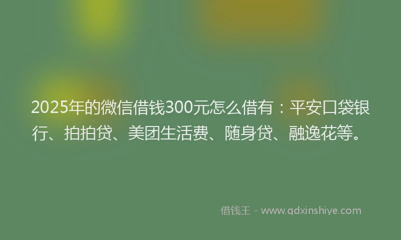 2025年的微信借钱300元怎么借有：平安口袋银行、拍拍贷、美团生活费、随身贷、融逸花等。