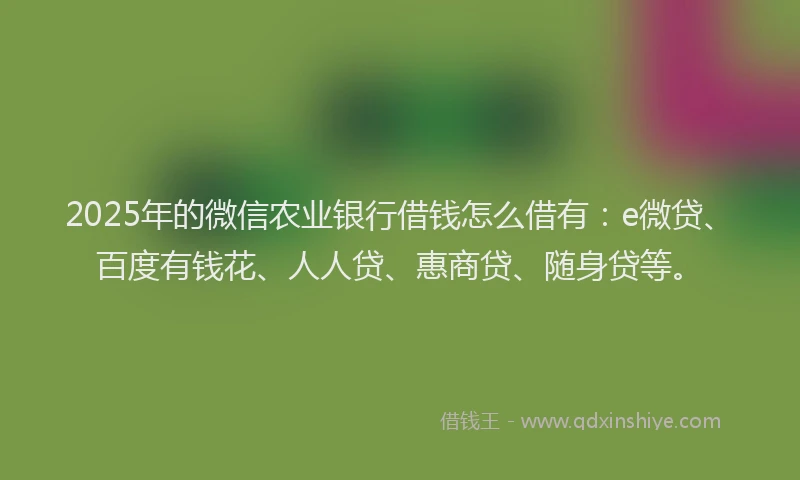 2025年的微信农业银行借钱怎么借有：e微贷、百度有钱花、人人贷、惠商贷、随身贷等。