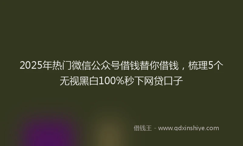 2025年热门微信公众号借钱替你借钱，梳理5个无视黑白100%秒下网贷口子