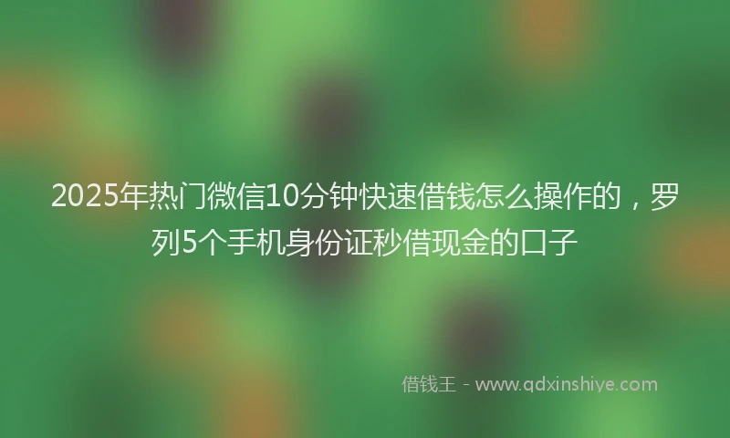 2025年热门微信10分钟快速借钱怎么操作的，罗列5个手机身份证秒借现金的口子