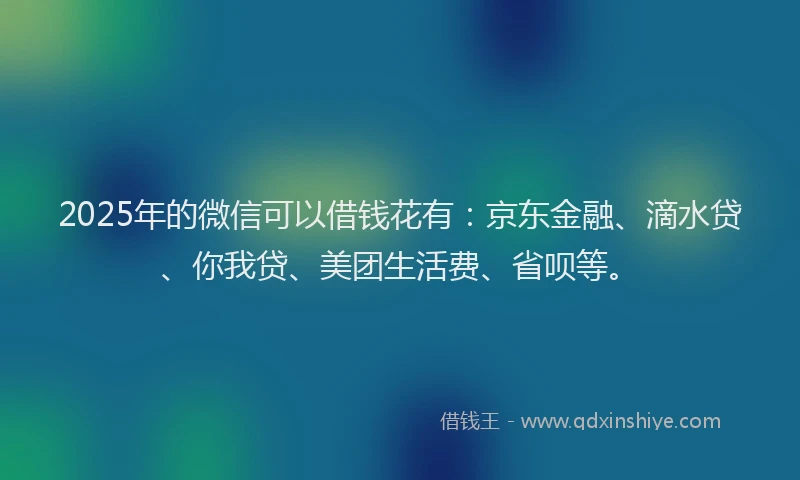 2025年的微信可以借钱花有：京东金融、滴水贷、你我贷、美团生活费、省呗等。