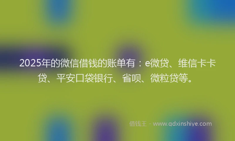 2025年的微信借钱的账单有：e微贷、维信卡卡贷、平安口袋银行、省呗、微粒贷等。