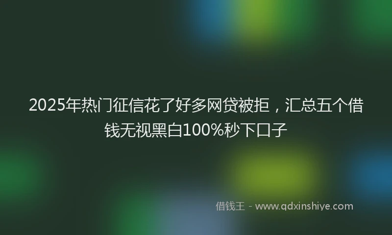 2025年热门征信花了好多网贷被拒，汇总五个借钱无视黑白100%秒下口子