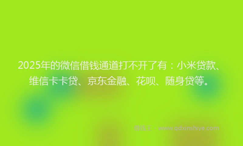 2025年的微信借钱通道打不开了有：小米贷款、维信卡卡贷、京东金融、花呗、随身贷等。