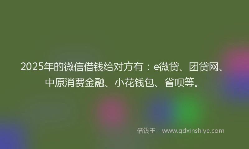 2025年的微信借钱给对方有：e微贷、团贷网、中原消费金融、小花钱包、省呗等。