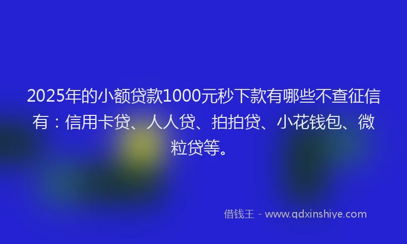 2025年的小额贷款1000元秒下款有哪些不查征信有：信用卡贷、人人贷、拍拍贷、小花钱包、微粒贷等。