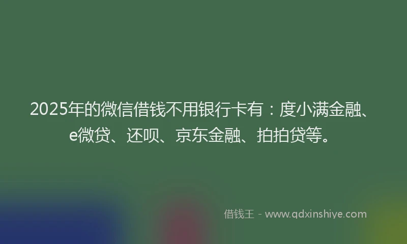 2025年的微信借钱不用银行卡有：度小满金融、e微贷、还呗、京东金融、拍拍贷等。
