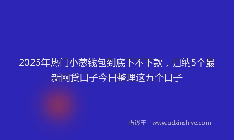 2025年热门小葱钱包到底下不下款，归纳5个最新网贷口子今日整理这五个口子