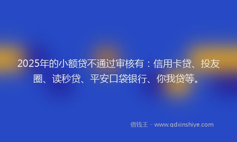 2025年的小额贷不通过审核有：信用卡贷、投友圈、读秒贷、平安口袋银行、你我贷等。