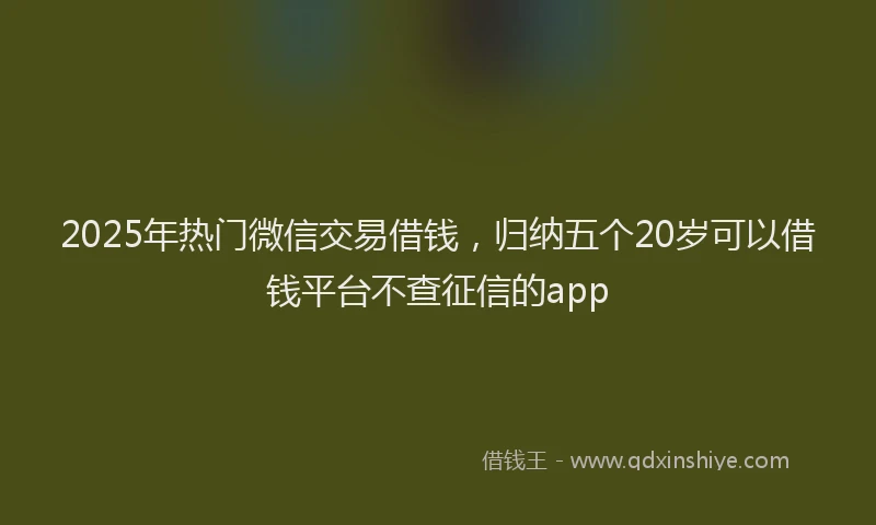 2025年热门微信交易借钱，归纳五个20岁可以借钱平台不查征信的app