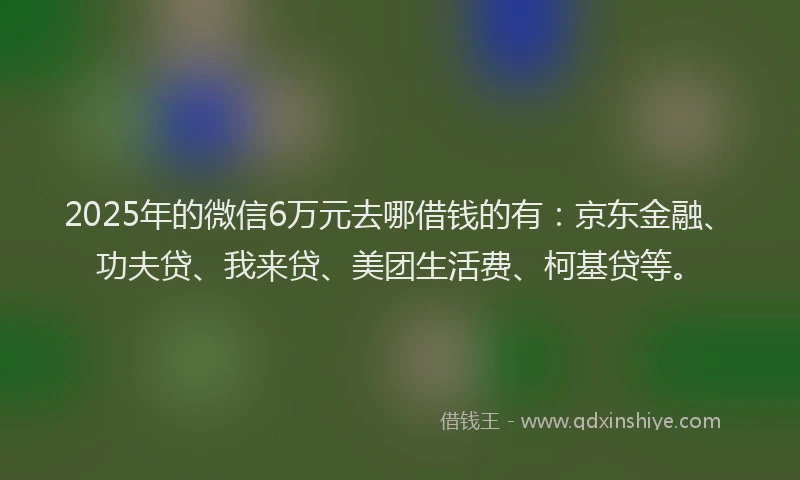 2025年的微信6万元去哪借钱的有：京东金融、功夫贷、我来贷、美团生活费、柯基贷等。