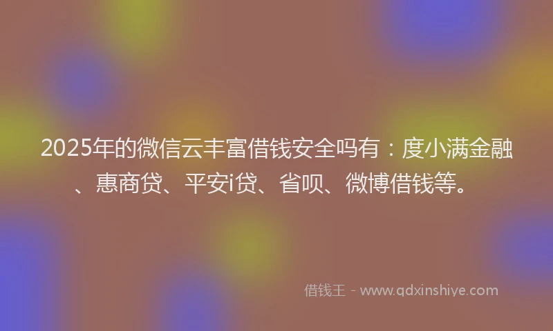 2025年的微信云丰富借钱安全吗有：度小满金融、惠商贷、平安i贷、省呗、微博借钱等。