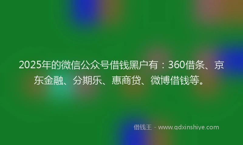2025年的微信公众号借钱黑户有：360借条、京东金融、分期乐、惠商贷、微博借钱等。