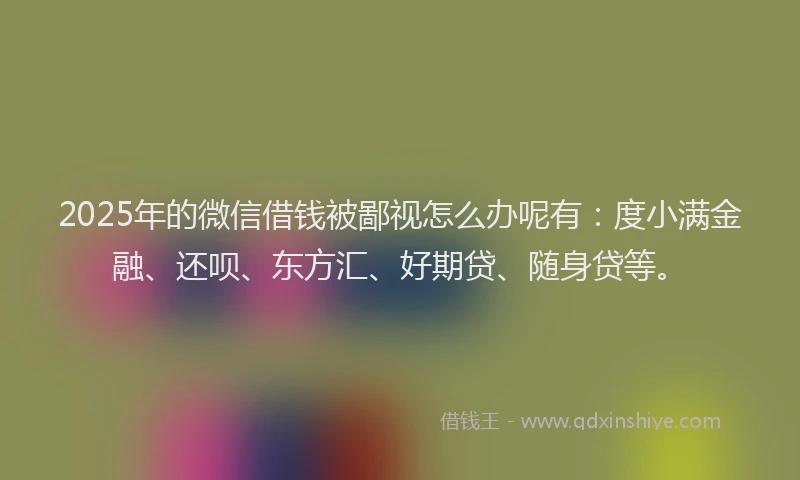 2025年的微信借钱被鄙视怎么办呢有：度小满金融、还呗、东方汇、好期贷、随身贷等。