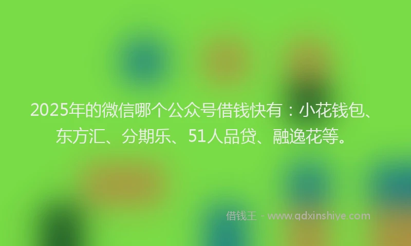2025年的微信哪个公众号借钱快有：小花钱包、东方汇、分期乐、51人品贷、融逸花等。