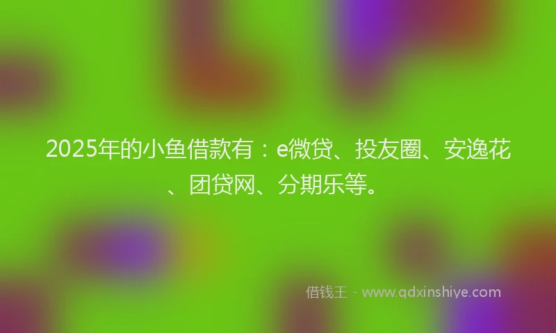 2025年的小鱼借款有：e微贷、投友圈、安逸花、团贷网、分期乐等。