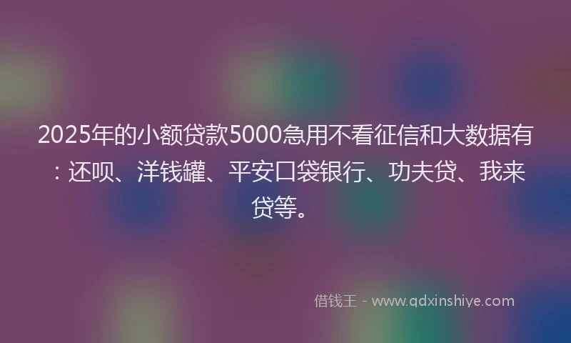 2025年的小额贷款5000急用不看征信和大数据有：还呗、洋钱罐、平安口袋银行、功夫贷、我来贷等。