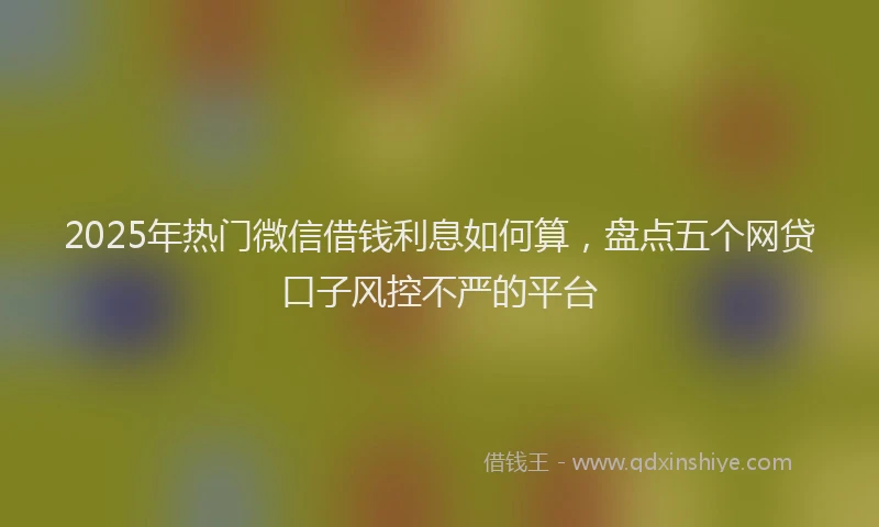 2025年热门微信借钱利息如何算，盘点五个网贷口子风控不严的平台