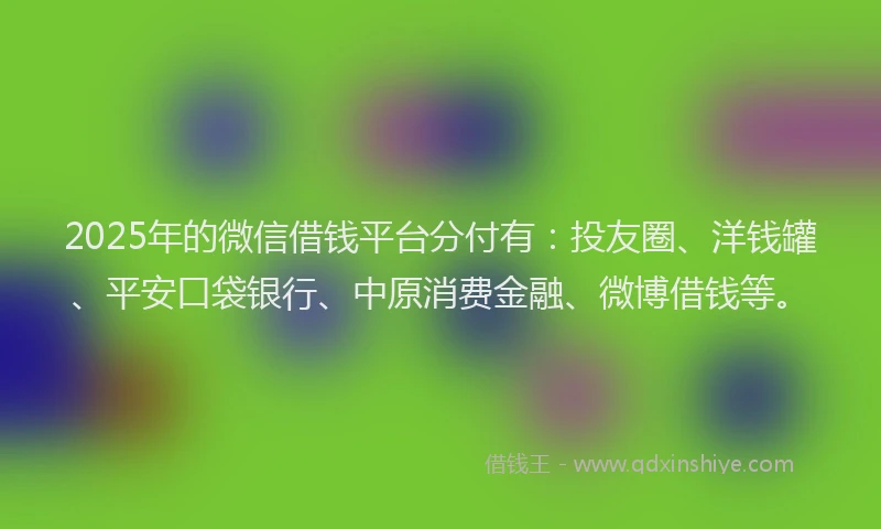 2025年的微信借钱平台分付有：投友圈、洋钱罐、平安口袋银行、中原消费金融、微博借钱等。