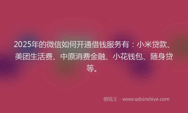 2025年的微信如何开通借钱服务有：小米贷款、美团生活费、中原消费金融、小花钱包、随身贷等。