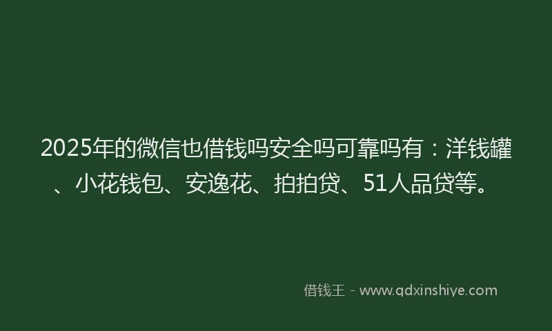 2025年的微信也借钱吗安全吗可靠吗有：洋钱罐、小花钱包、安逸花、拍拍贷、51人品贷等。