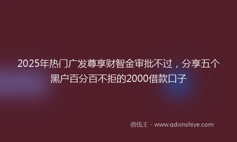 2025年热门广发尊享财智金审批不过，分享五个黑户百分百不拒的2000借款口子