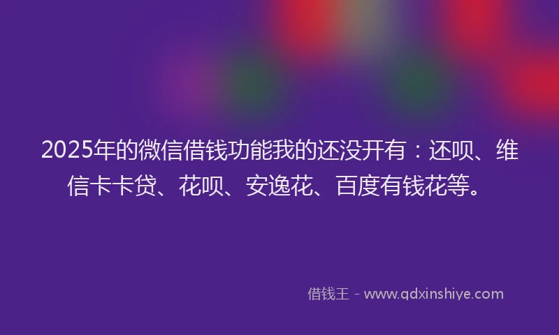 2025年的微信借钱功能我的还没开有：还呗、维信卡卡贷、花呗、安逸花、百度有钱花等。