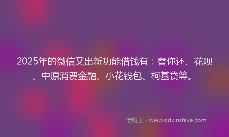 2025年的微信又出新功能借钱有：替你还、花呗、中原消费金融、小花钱包、柯基贷等。