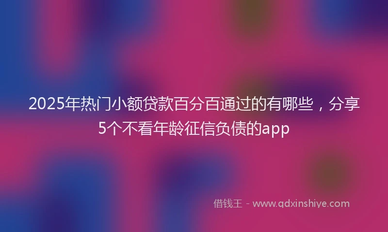 2025年热门小额贷款百分百通过的有哪些，分享5个不看年龄征信负债的app