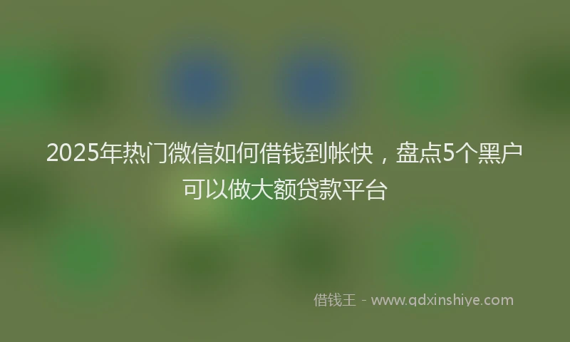 2025年热门微信如何借钱到帐快，盘点5个黑户可以做大额贷款平台