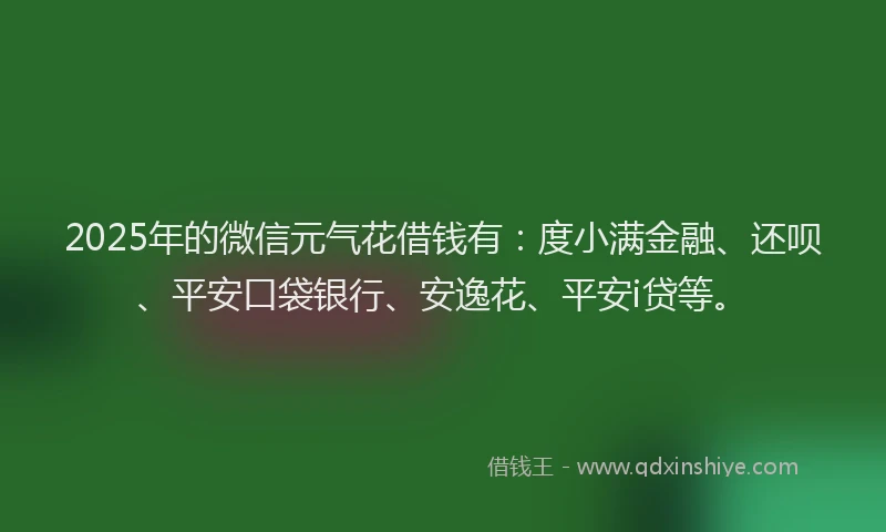 2025年的微信元气花借钱有：度小满金融、还呗、平安口袋银行、安逸花、平安i贷等。