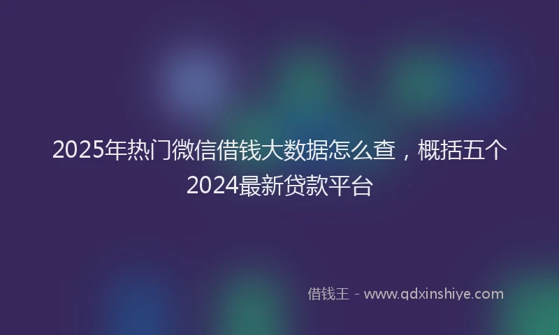 2025年热门微信借钱大数据怎么查，概括五个2024最新贷款平台