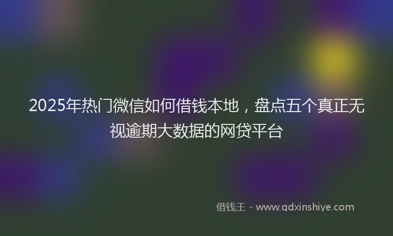 2025年热门微信如何借钱本地，盘点五个真正无视逾期大数据的网贷平台