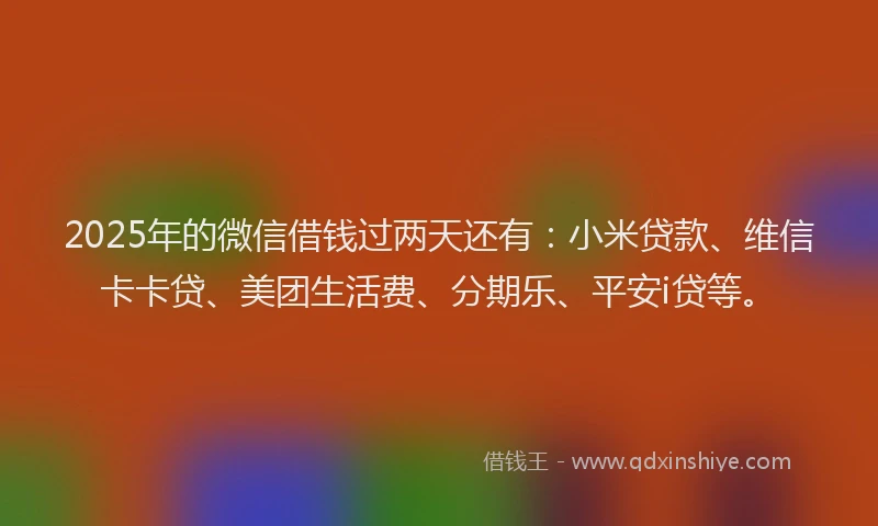 2025年的微信借钱过两天还有：小米贷款、维信卡卡贷、美团生活费、分期乐、平安i贷等。