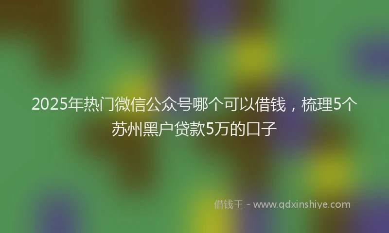 2025年热门微信公众号哪个可以借钱，梳理5个苏州黑户贷款5万的口子