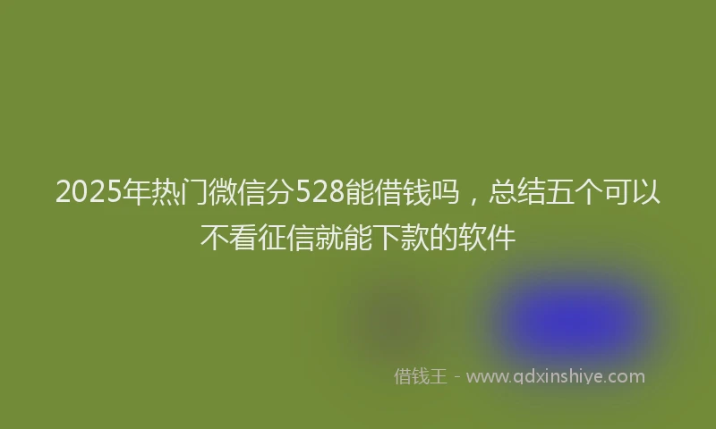 2025年热门微信分528能借钱吗，总结五个可以不看征信就能下款的软件