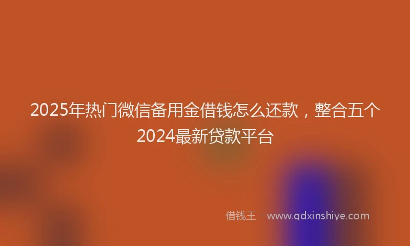 2025年热门微信备用金借钱怎么还款，整合五个2024最新贷款平台