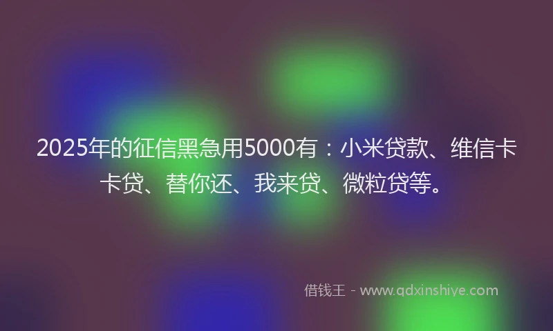 2025年的征信黑急用5000有：小米贷款、维信卡卡贷、替你还、我来贷、微粒贷等。