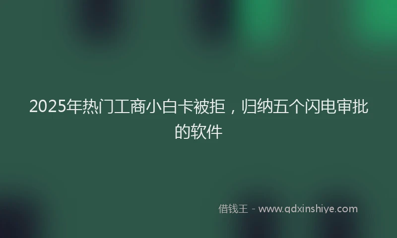 2025年热门工商小白卡被拒，归纳五个闪电审批的软件