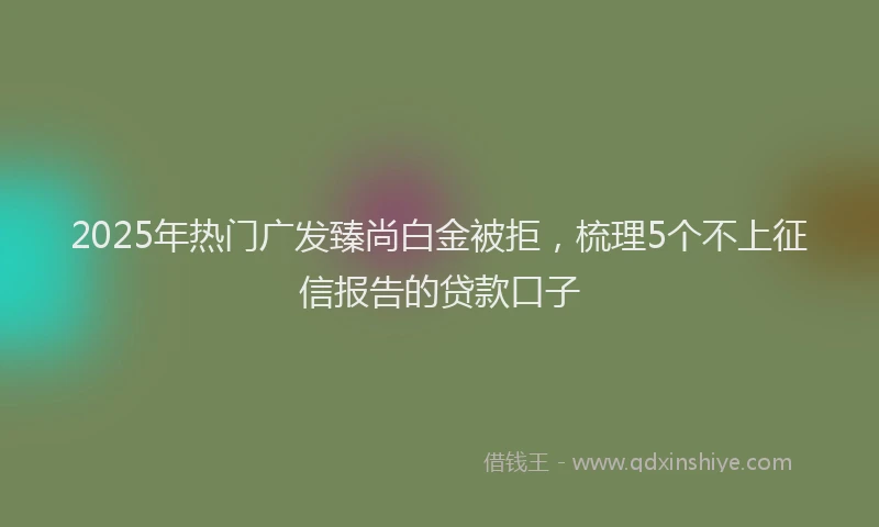 2025年热门广发臻尚白金被拒，梳理5个不上征信报告的贷款口子