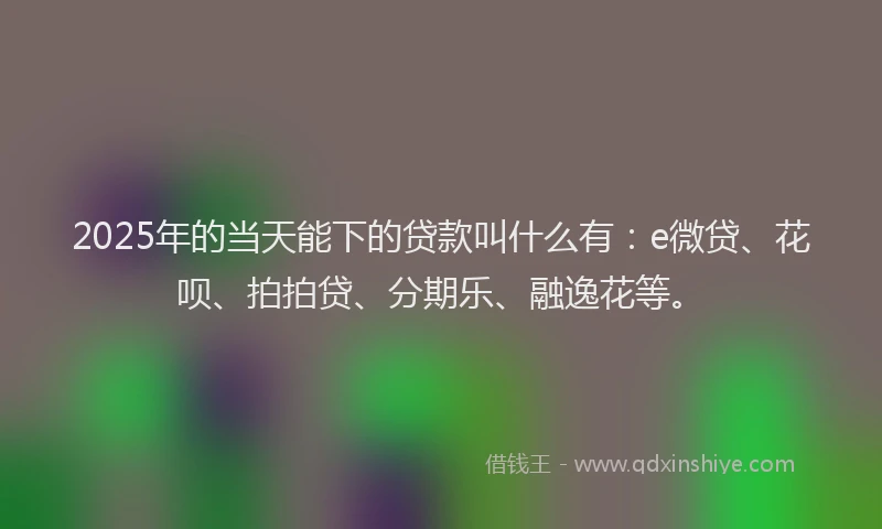 2025年的当天能下的贷款叫什么有：e微贷、花呗、拍拍贷、分期乐、融逸花等。