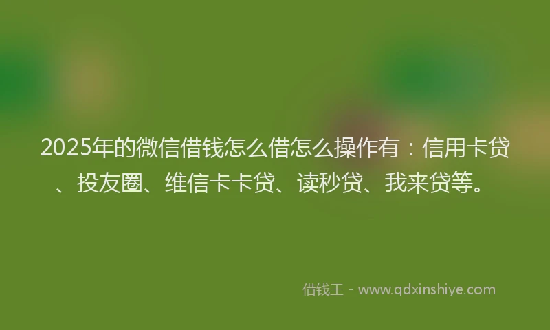 2025年的微信借钱怎么借怎么操作有：信用卡贷、投友圈、维信卡卡贷、读秒贷、我来贷等。