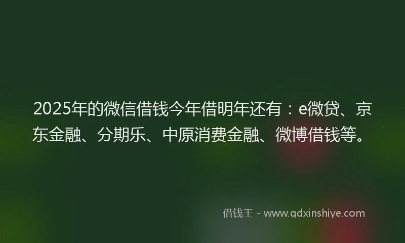 2025年的微信借钱今年借明年还有：e微贷、京东金融、分期乐、中原消费金融、微博借钱等。